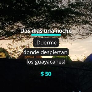 Campamento en la montaña entre guayacanes con texto promocional de dos días y una noche por 50 dólares