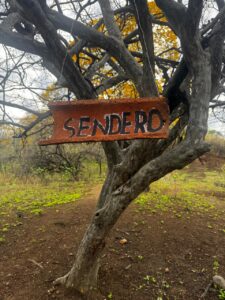 Letrero artesanal que señala un sendero ecológico en el bosque seco de Cazaderos, activado para visitas conscientes antes y después del florecimiento.
