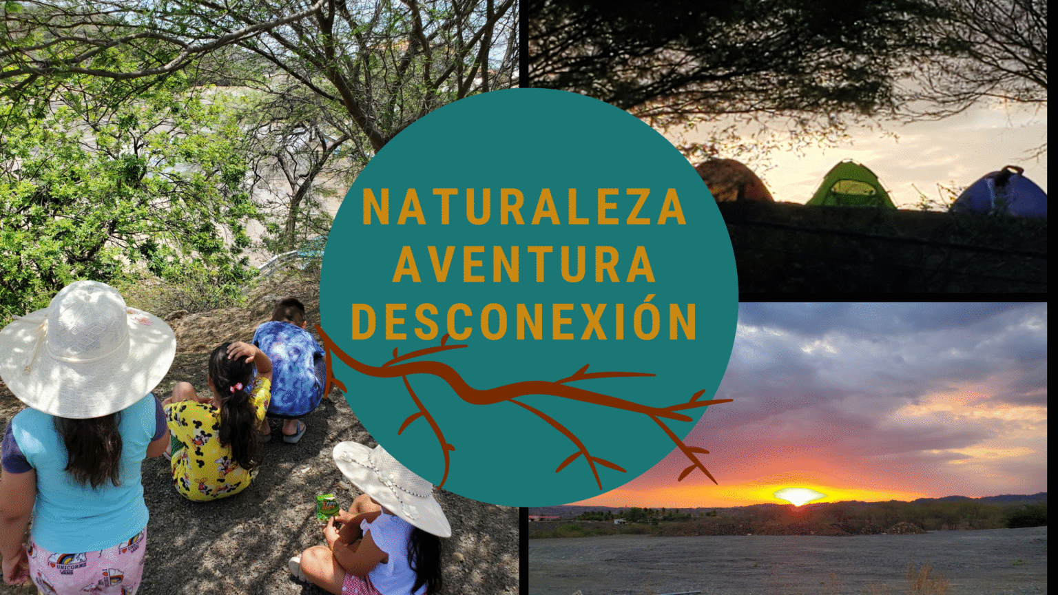 Bienvenidos al Bosque Seco