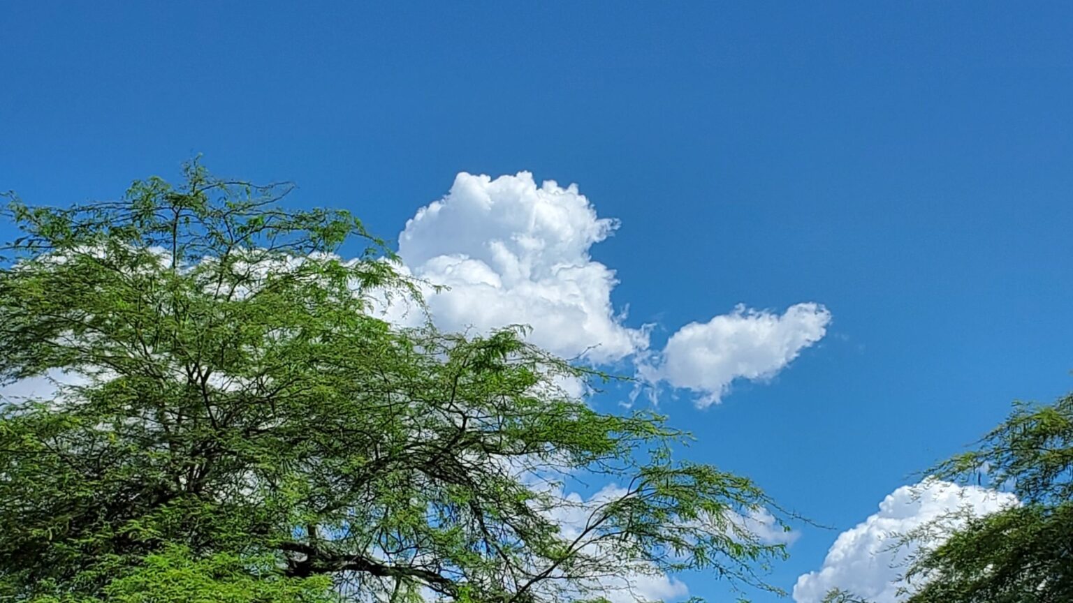 Senderismo Mindfulness: La ruta del Silencio en el Bosque Seco
